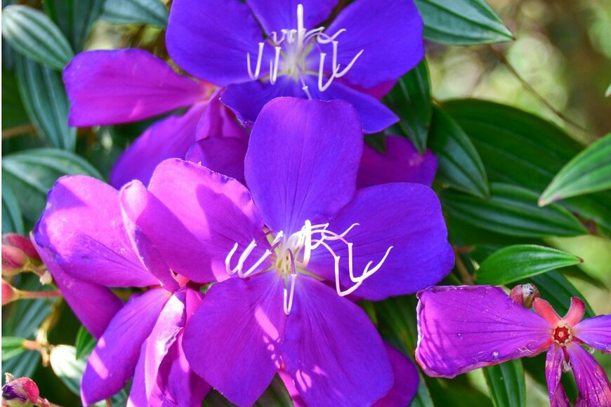 LFO62/istockphoto.com