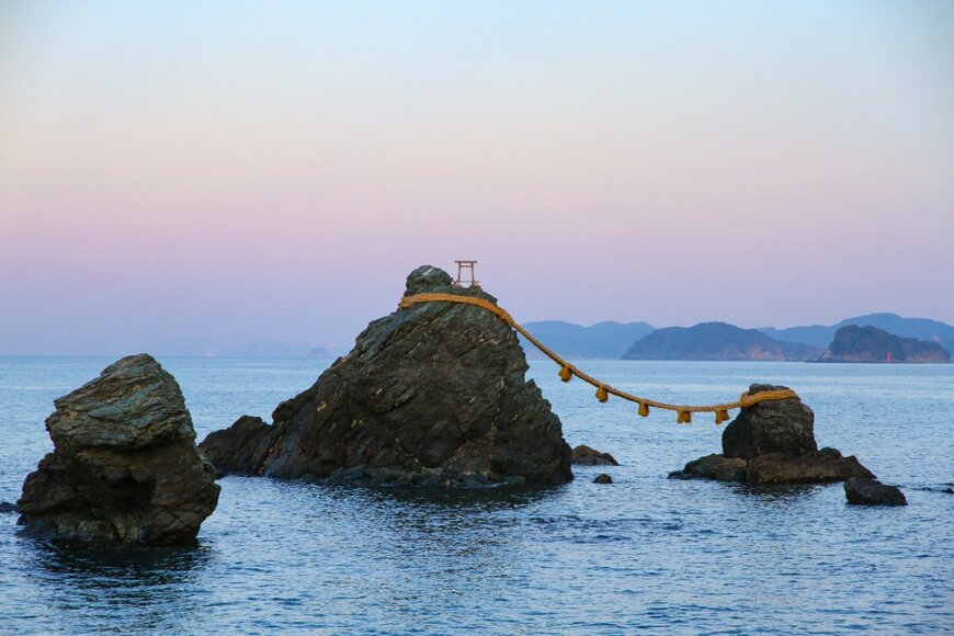 Various images/shutterstock.com