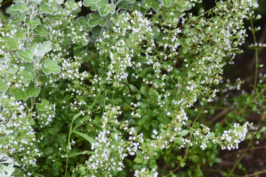 undefined undefined/istockphoto.com