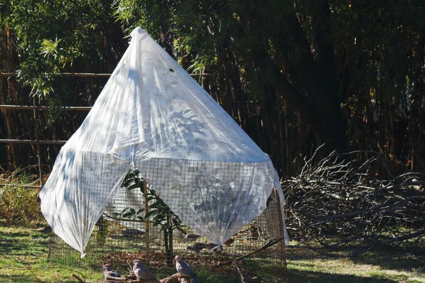 BlueSnap/shutterstock.com