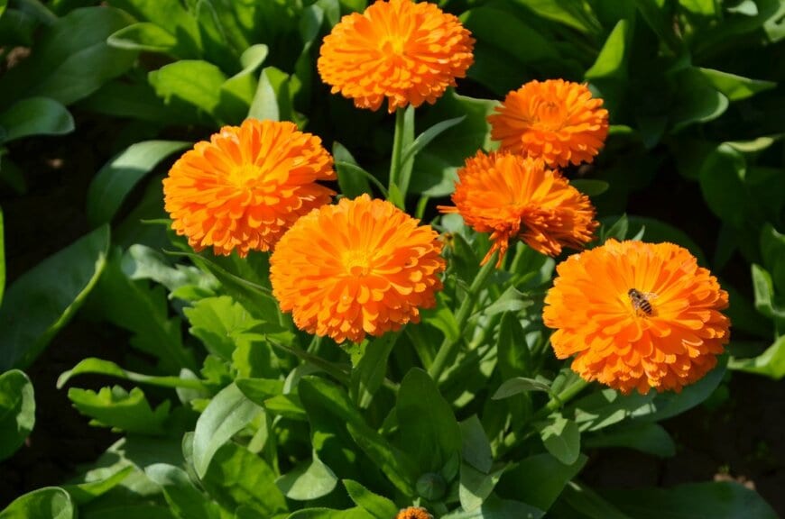 Bhupinder Bagga/shutterstock.com