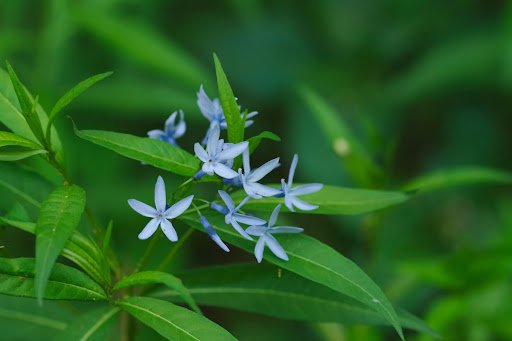 ikwc_exps/shutterstock.com