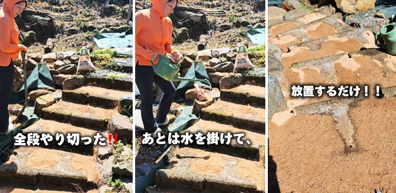 投稿の画像