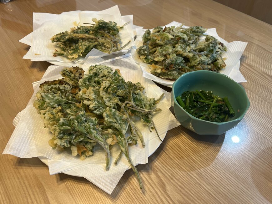 おいしそうな天ぷらとおひたし