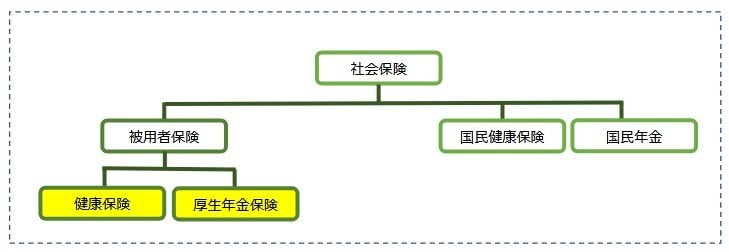 保険料負担が発生する社会保険(健康保険・厚生年金)