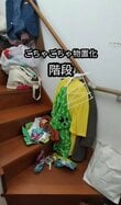 【片づけアイデア】親子でキレイをキープ！〈置きっぱなし階段〉がピンフック×モップで〈すっきり階段〉に大変身