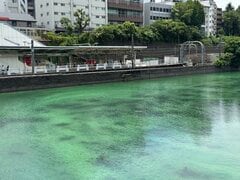 市ヶ谷から千駄ヶ谷に行く途中で外堀を見たら…秘境のような光景に「知らなかった！」「10年で住んで初めて」