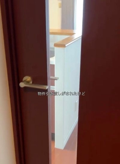 投稿の画像