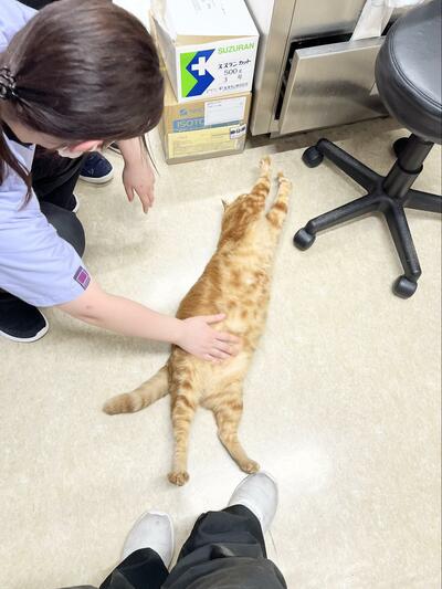 投稿の画像