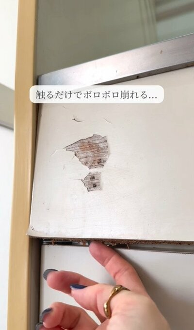 投稿の画像