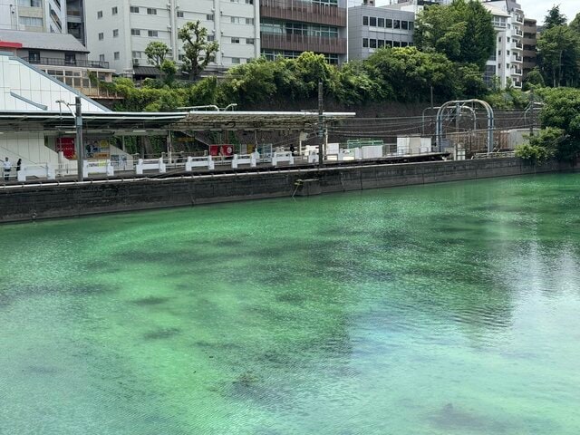 市ヶ谷から千駄ヶ谷に行く途中で外堀を見たら…秘境のような光景に「知らなかった！」「10年で住んで初めて」