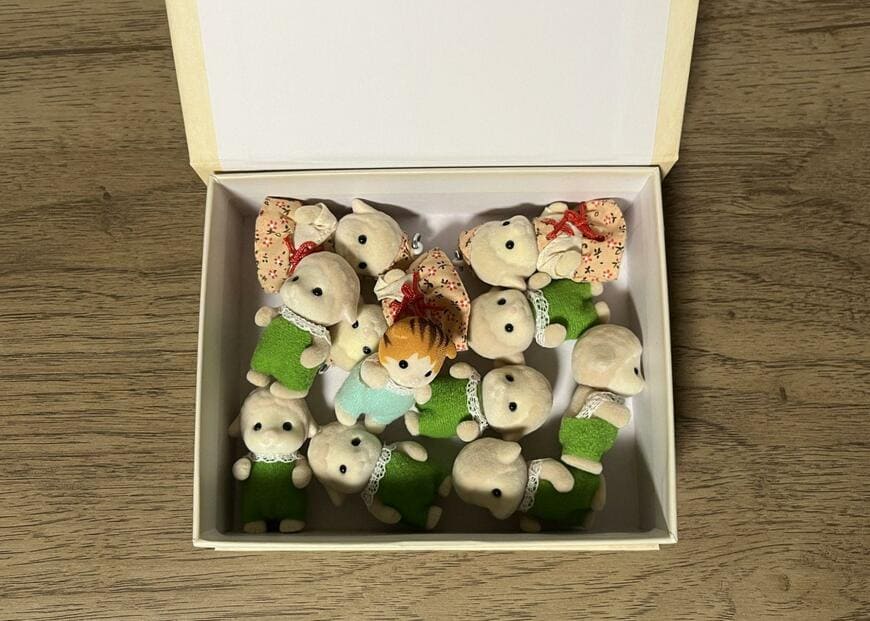 筆者撮影（セリア、ブック型ボックス M クラシックマジック）