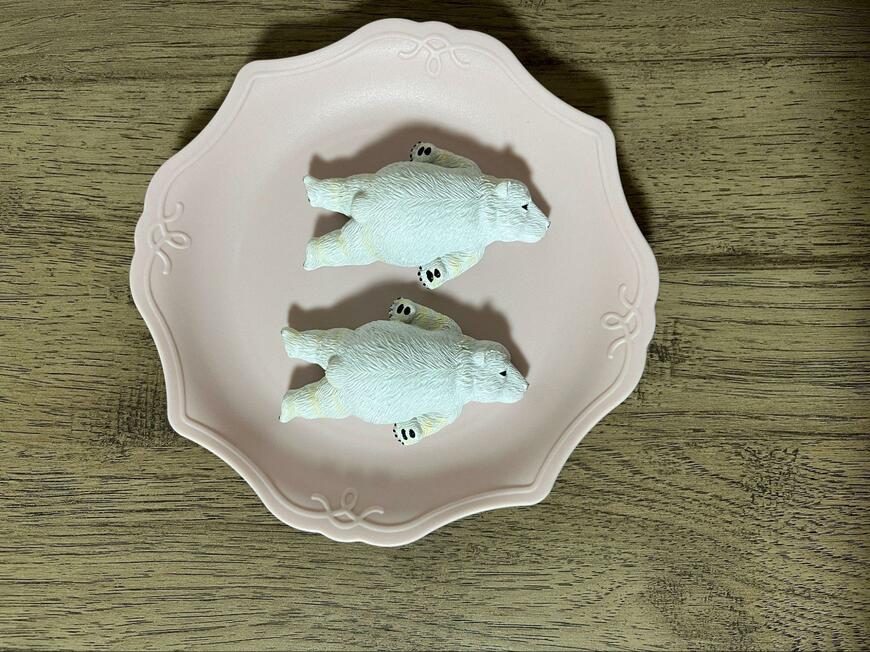 筆者撮影（セリア、カードルプレート ミニ 2P）