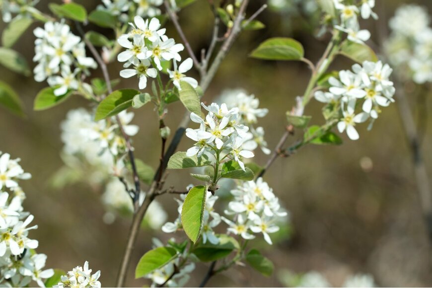 aga7ta/Shutterestock.com