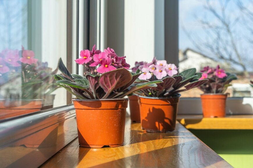 AnnHirna/shutterstock.com