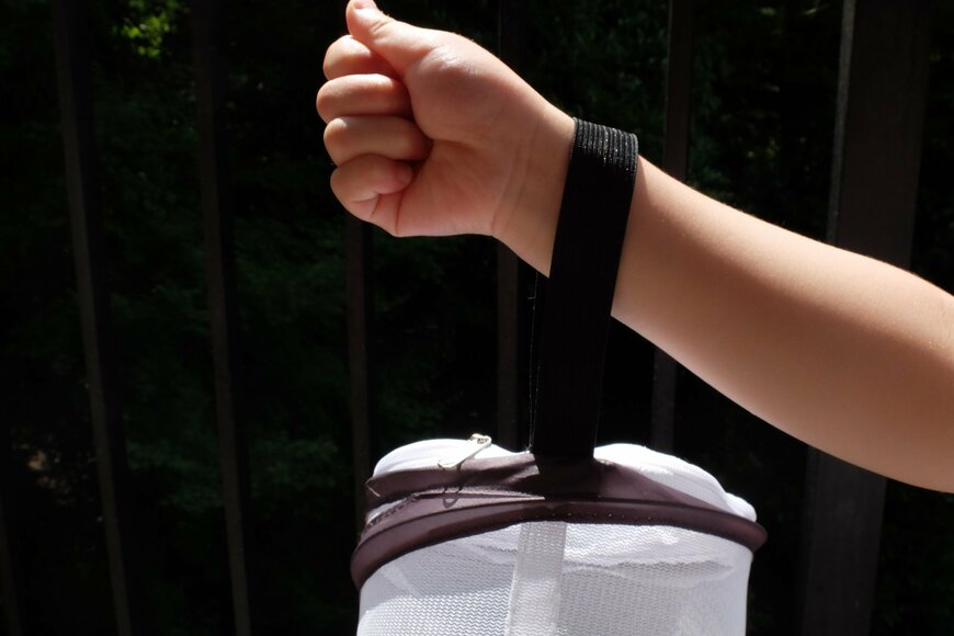 筆者撮影（ダイソー、昆虫採集網）