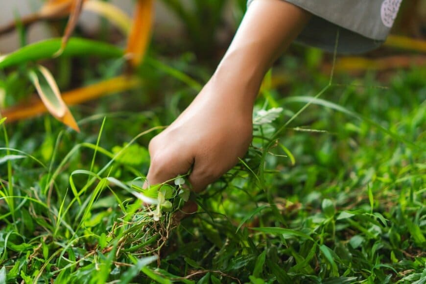 m.dipo/shutterstock.com