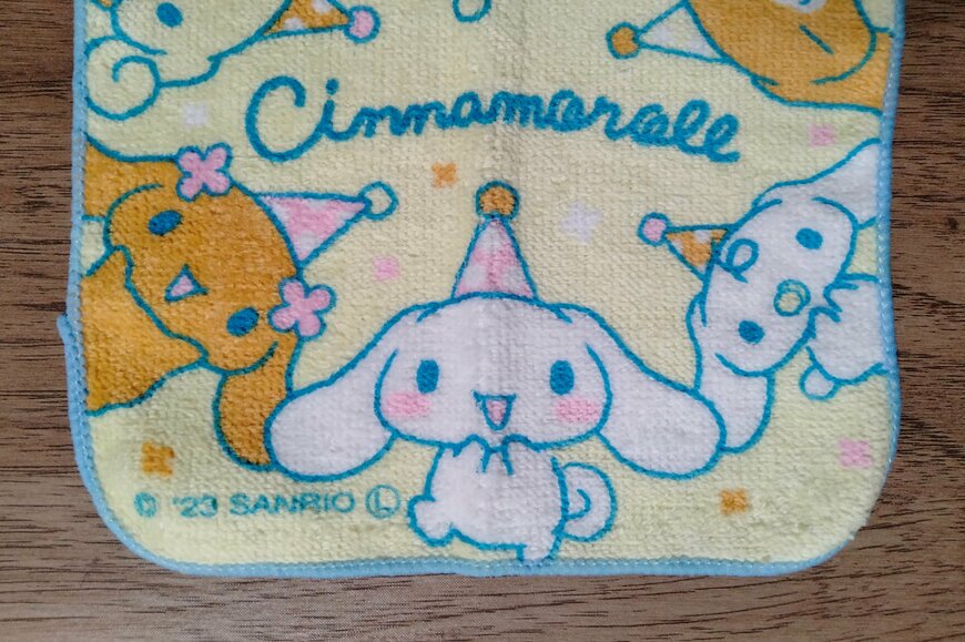 筆者撮影（キャンドゥ、タオルハンカチ C/N パレード）