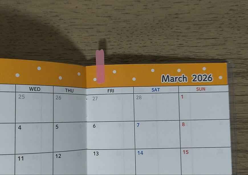 筆者撮影（キャンドゥ、ねこフィルム付箋　20枚×6組）