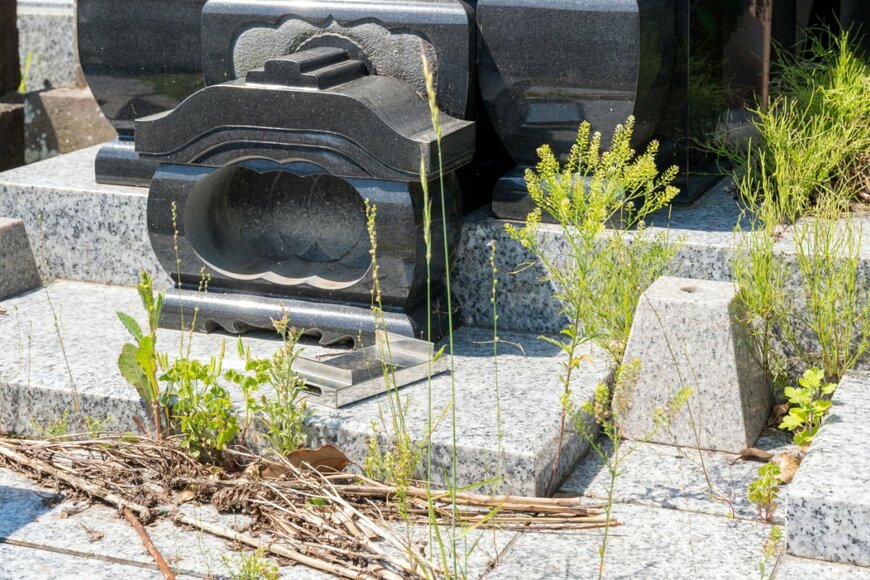 sky-and-sun/shutterstock.com