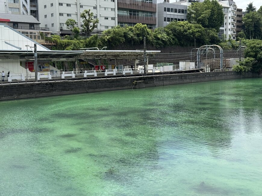 市ヶ谷から千駄ヶ谷に行く途中で外堀を見たら…秘境のような光景に「知らなかった！」「10年で住んで初めて」
