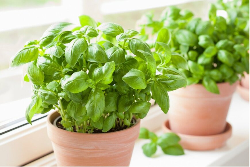 OlgaMiltsova/istockphoto.com