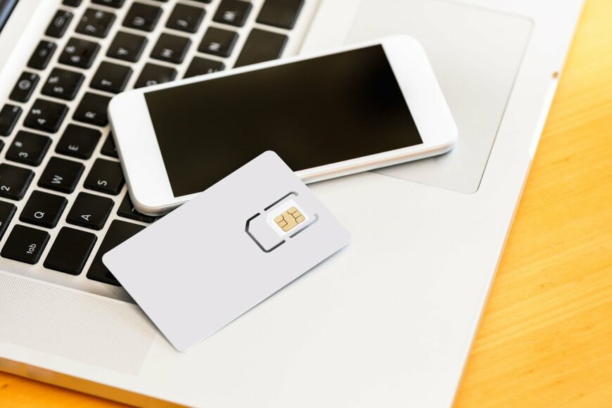 taka1022/shutterstock.com