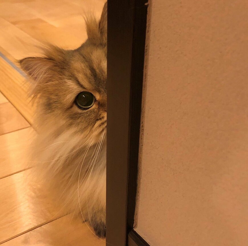 出所：@UphQepCv8J