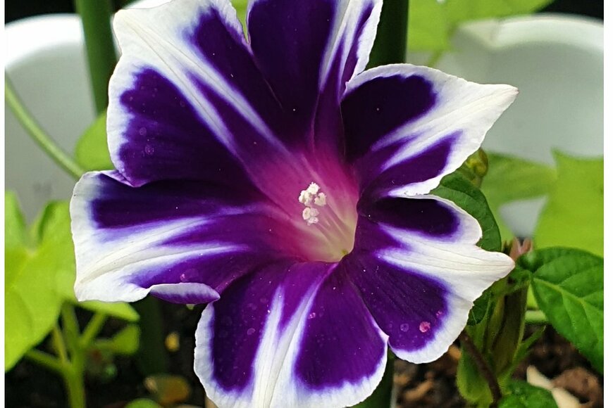 Langkah 1000/Shutterstock.com