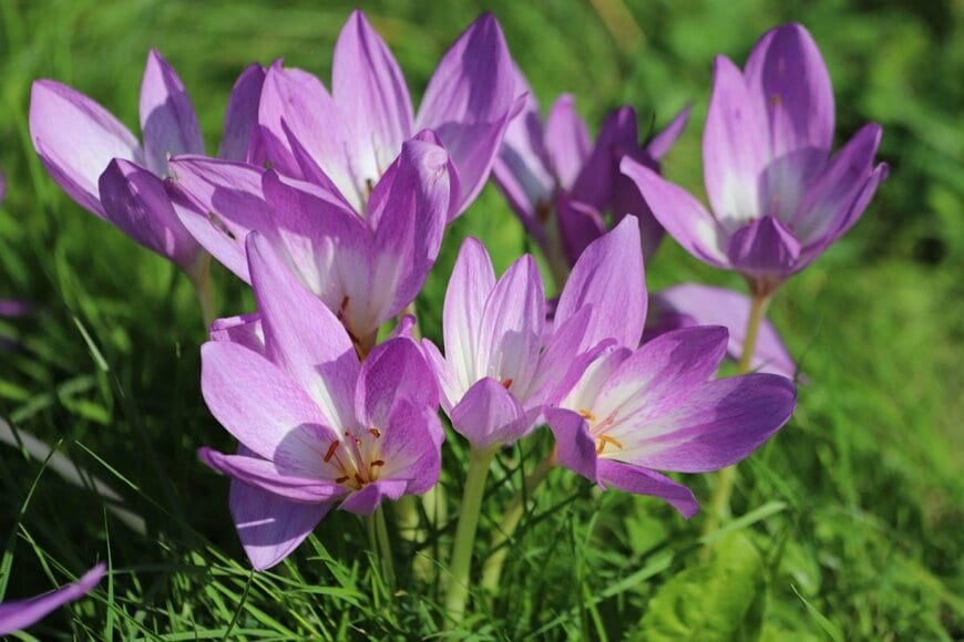Kabar/shutterstock.com