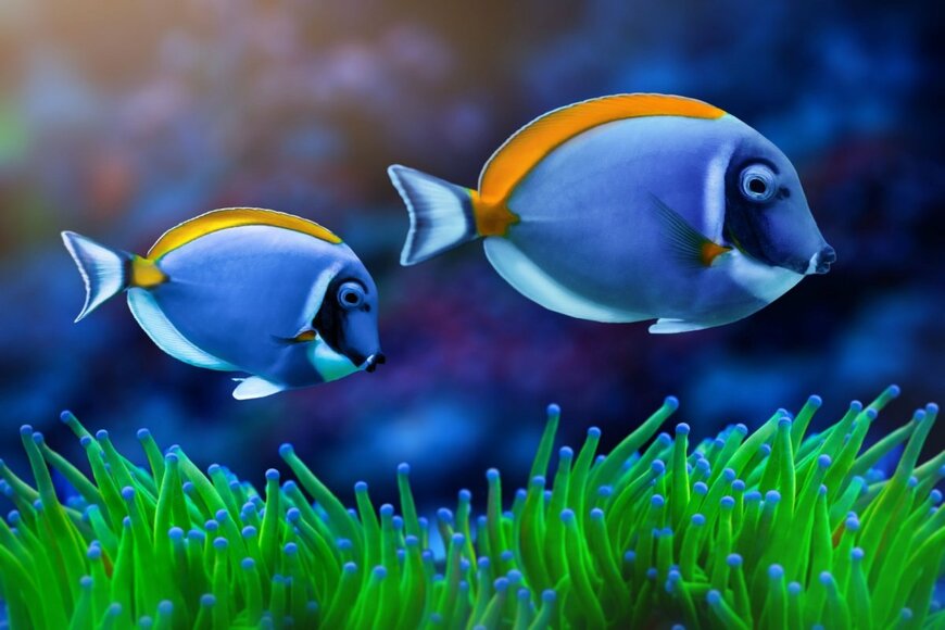 smutan/shutterstock.com