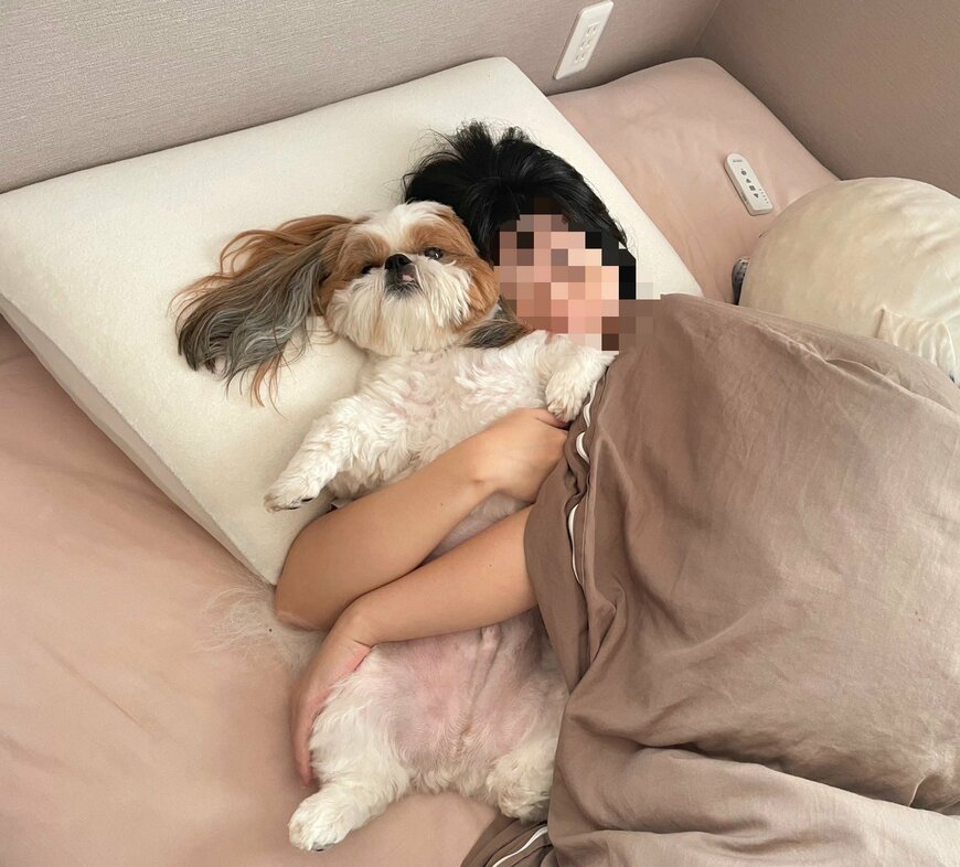 出所：@poco20220603