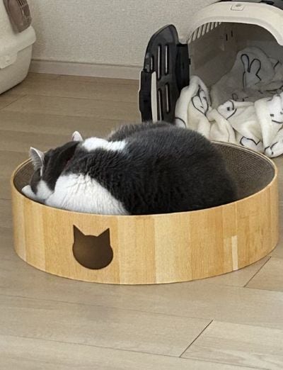 出所：@brimochi222