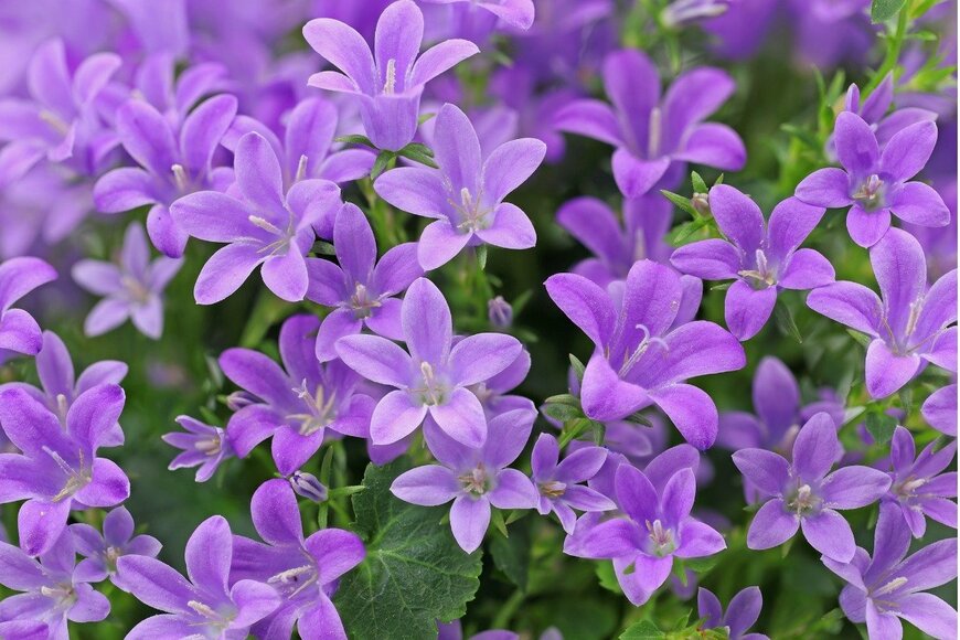 Andreas Häuslbetz/istockphoto.com