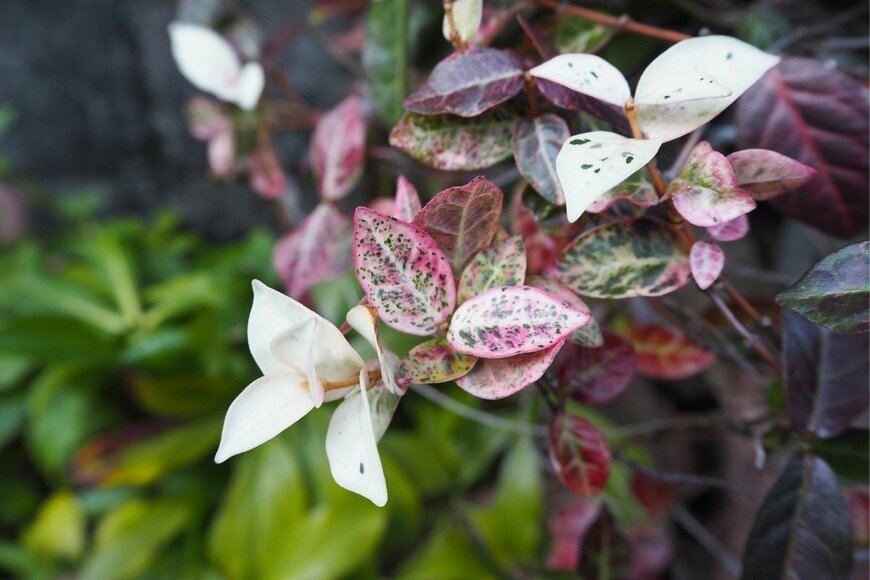 poteco /istockphoto.com