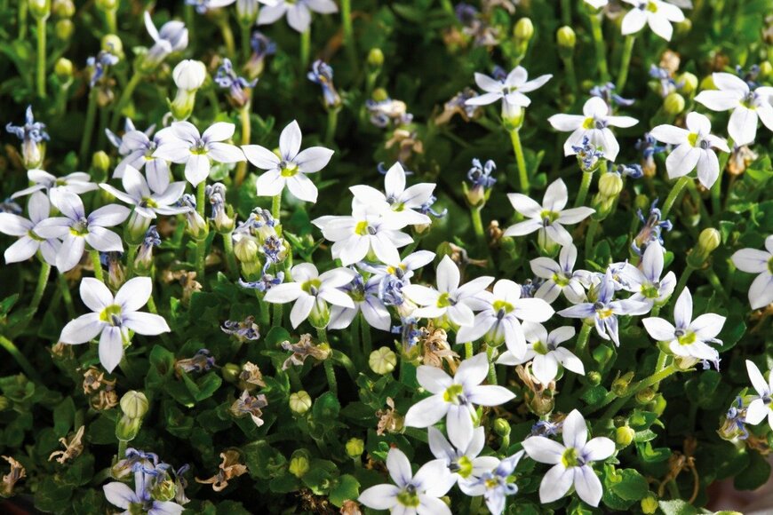 Tuned_In/istockphoto.com