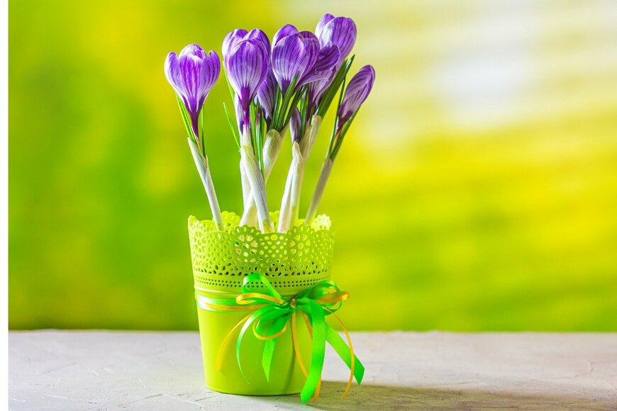 Olena Osypova/istockphoto.com