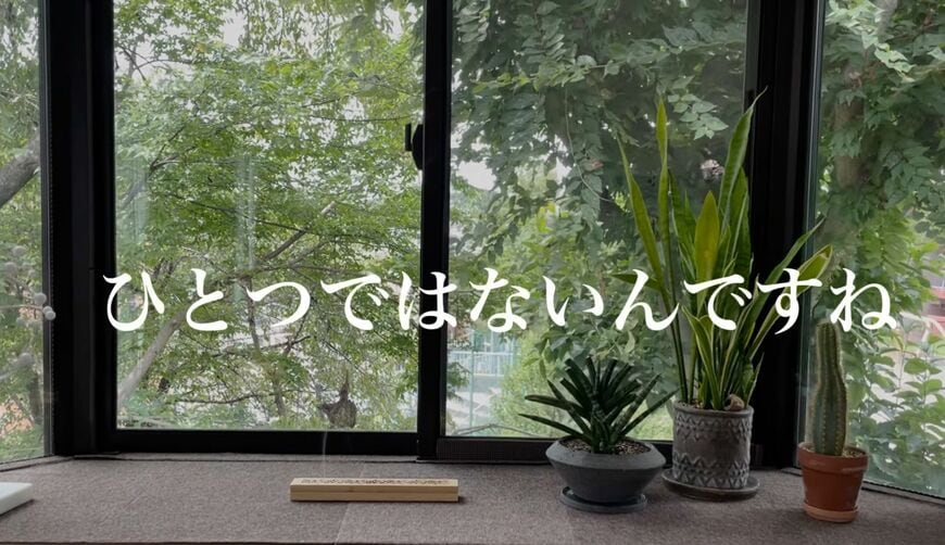 窓辺の植物と過ごす穏やかな時間