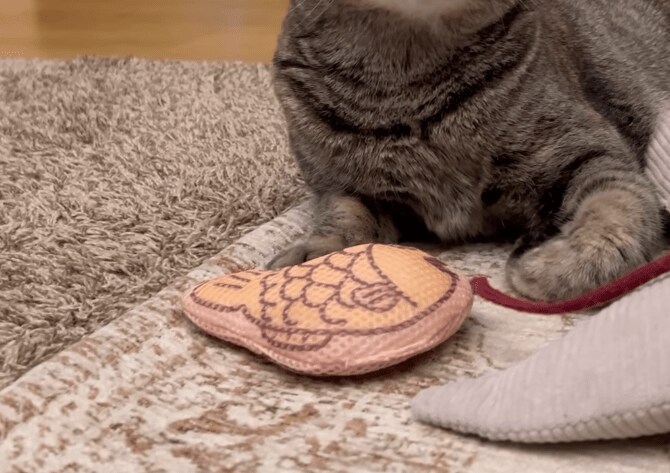 パパ大好きな猫