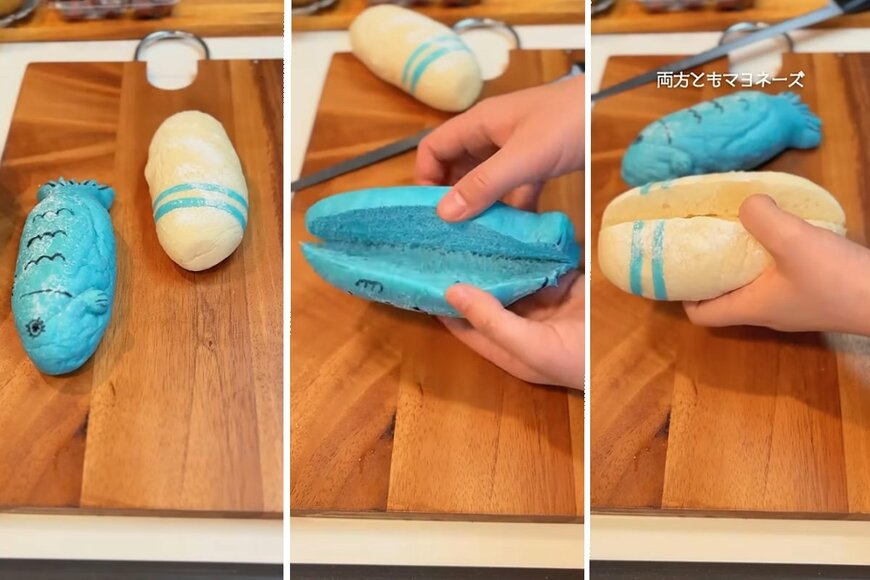 投稿動画のワンシーン