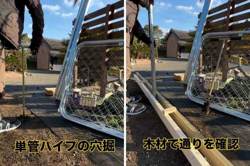 投稿の画像