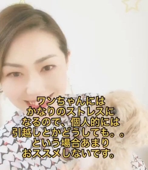 飛行機で犬が乗るのは暗くてうるさい貨物室