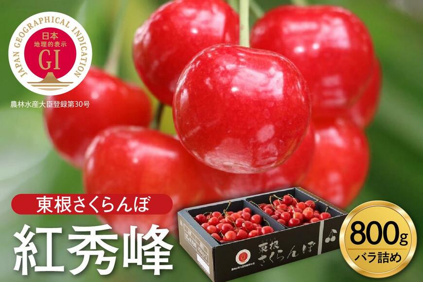 「東根さくらんぼ」 2024年産 紅秀峰800g