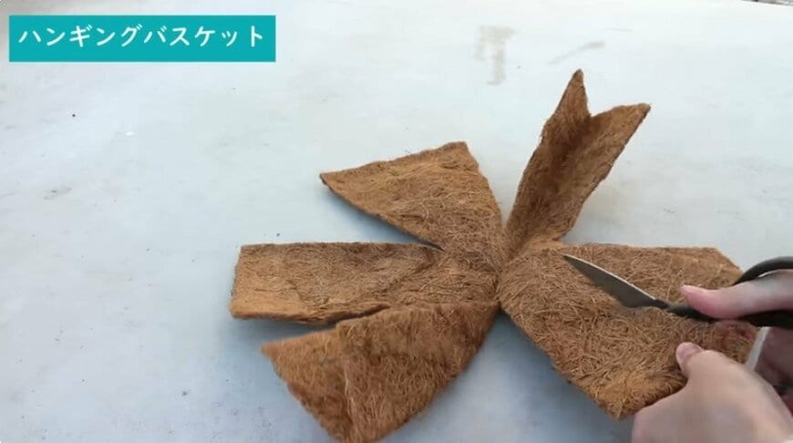 @チェリーガーデン