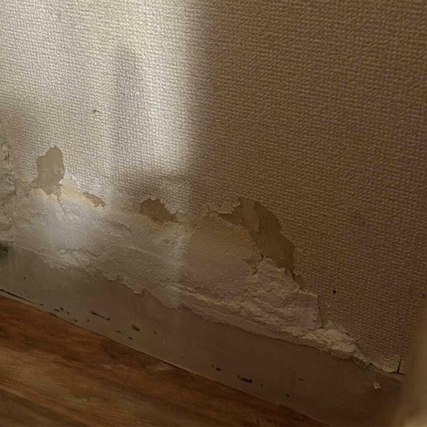 塞がれた穴の様子