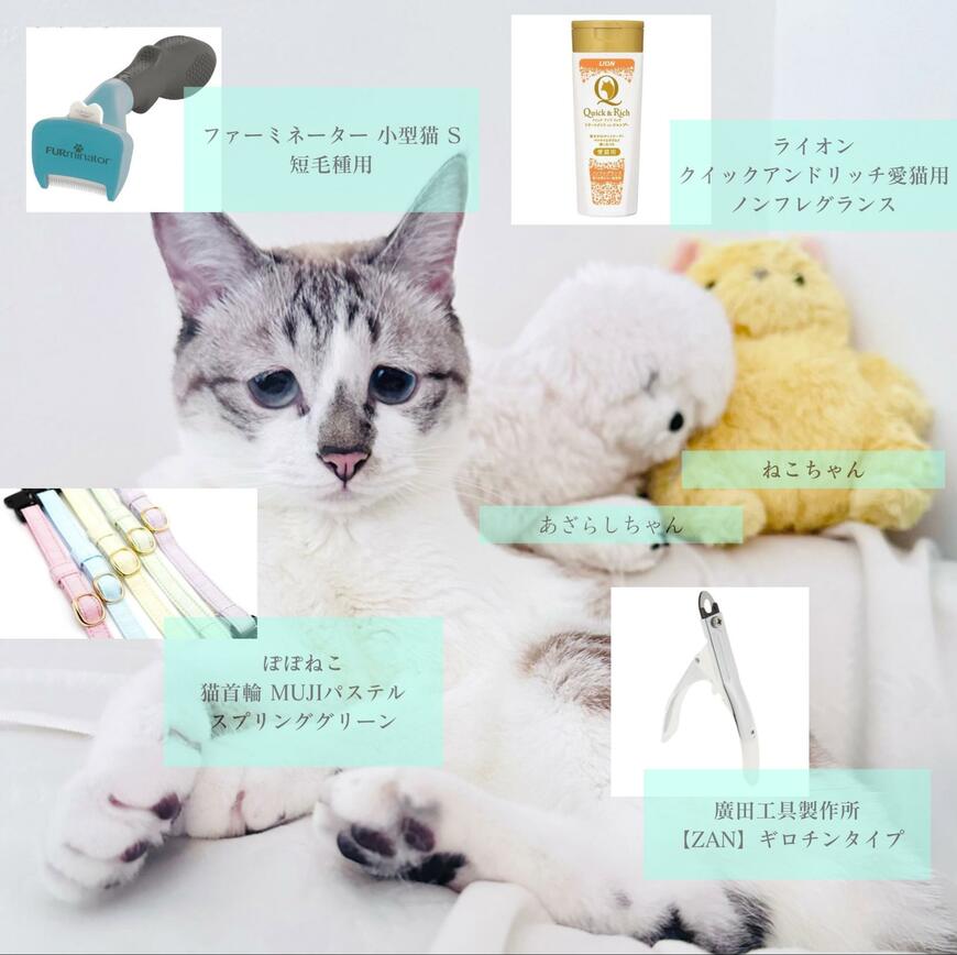 猫のメイクレシピ