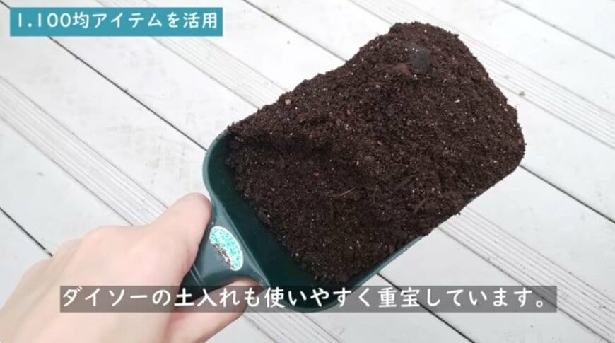 @チェリーガーデン