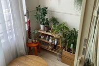 おしゃれな部屋に強烈な違和感　「上手に隠れている生物」が話題に