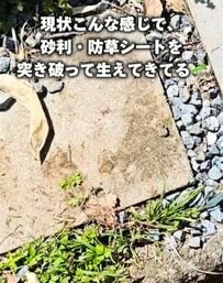 【雑草対策】20万円で購入したゴミ屋敷の〈外階段〉→砂を敷きつめて水を撒くだけで〈雑草に負けないスッキリ空間〉に整備！