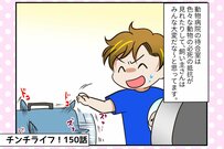 チンチラの福、久々に病院に行くことに！気になる検査の結果は？【チンチライフ150話】